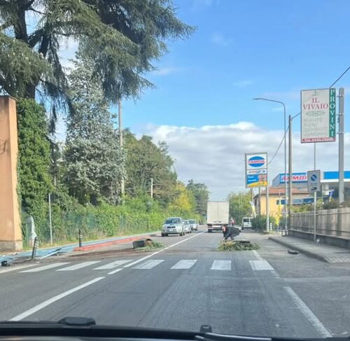 Donna investita a Novi in via Mazzini