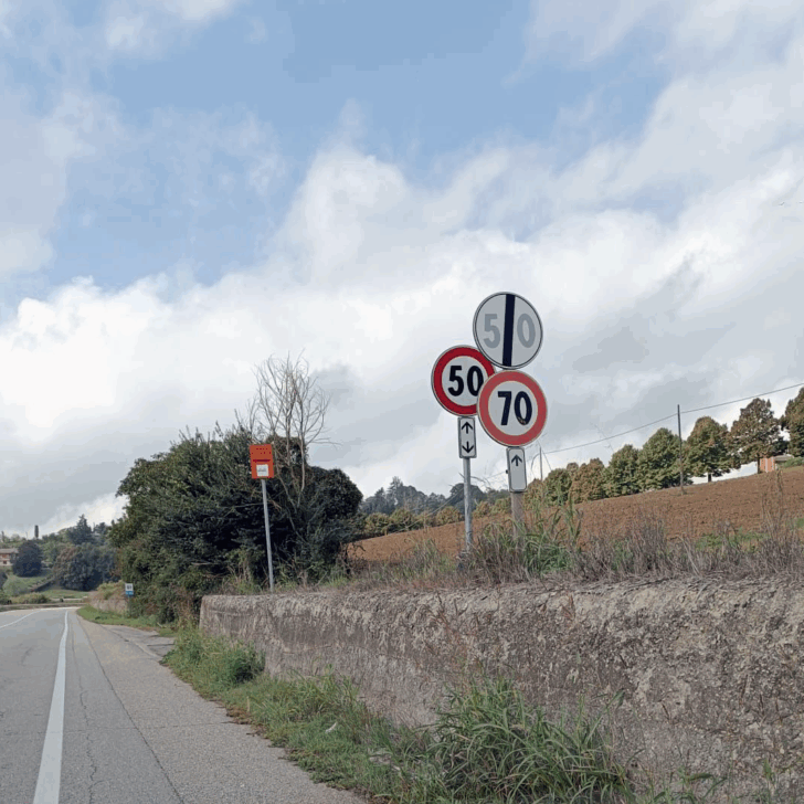 Strada all’uscita di Valenza: “Affollamento di cartelli. A che velocità dobbiamo andare?”