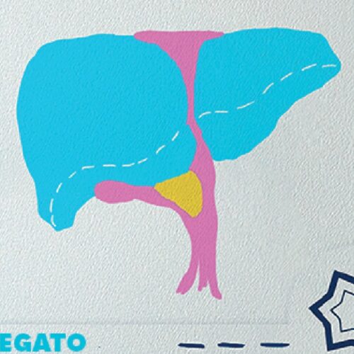 Spazio alla Ricerca: robotica e alleanze internazionali per la cura delle patologie del fegato