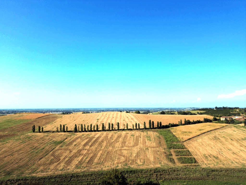 Proposta matrimonio San Salvatore Monferrato