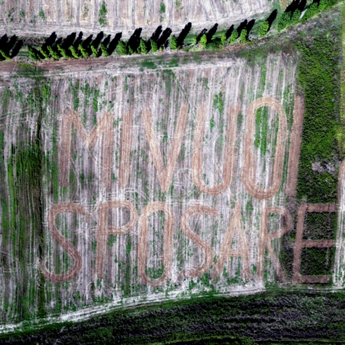 “Mi vuoi sposare?”: la maxi frase scritta sulle colline del Monferrato