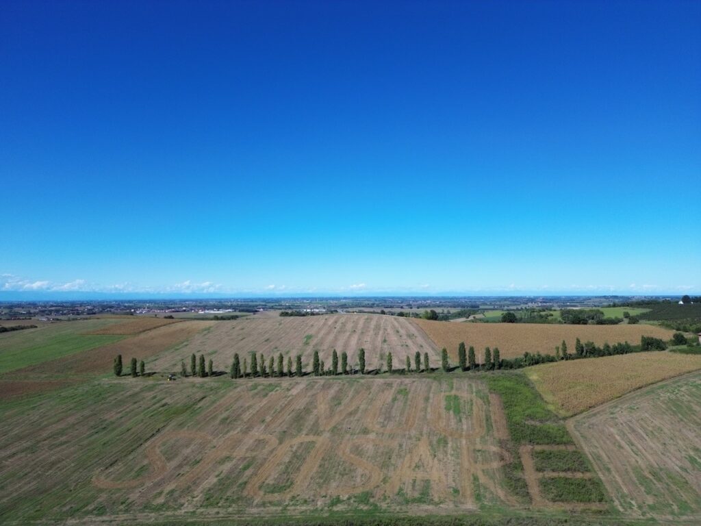 Proposta matrimonio San Salvatore Monferrato