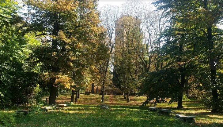 Parco Castello di Novi: risolto il contratto con la ditta esecutrice. I lavori passano al secondo classificato
