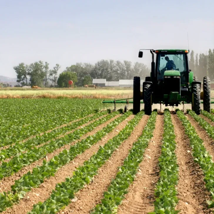 Annata agraria, allarme Cia: qualità buona ma prezzi penalizzano produttori e consumatori