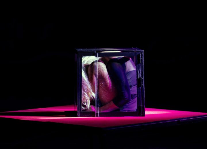 La vita è un circo ma vivere dentro al circo è magia: dietro le quinte del Crazy Circus