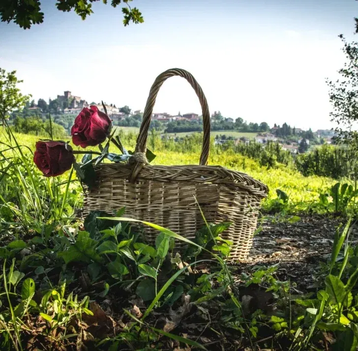 Il Festival del Turismo responsabile fino a domenica nel Pavese