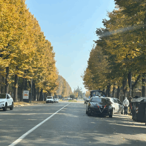 Ancora un pedone investito in viale Teresa Michel ad Alessandria 