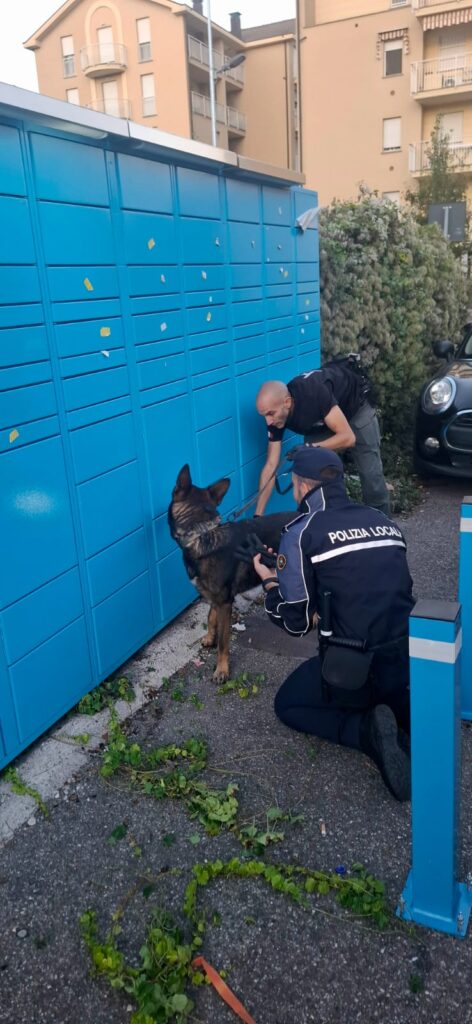 Controlli Voghera Polizia locale