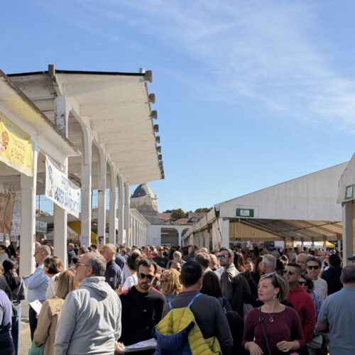 Festa del Vino, oltre 200 mila presenze: Casale chiude un’edizione da record