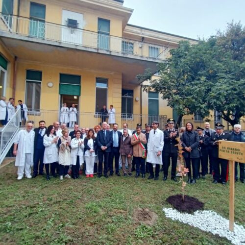 A Casale un nuovo “albero per la salute” all’ospedale Santo Spirito