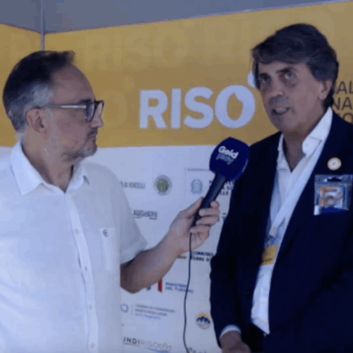 Risò, così il design ha trasformato Vercelli in un evento diffuso