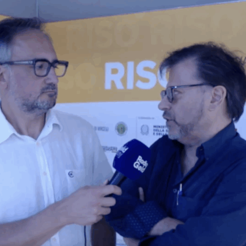 Gigante Vercelli, il riso antico e resistente che piace a Slow Food