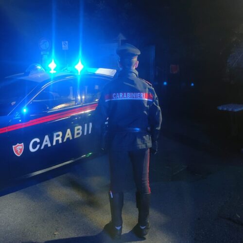 Minaccia di gettarsi nel Ticino: arrivano i Carabinieri e lo salvano