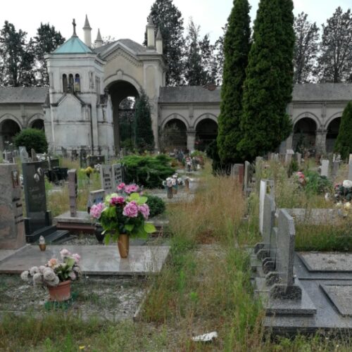 Al via il diserbo nei cimiteri di Alessandria e sobborghi: lunedì e martedì chiusure temporanee