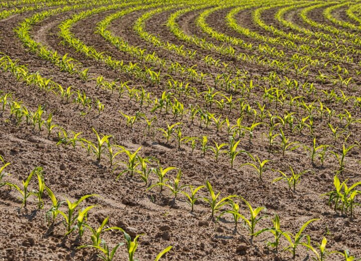 Regione Piemonte capofila nel progetto nazionale contro il caporalato: oltre 4 milioni per i controlli