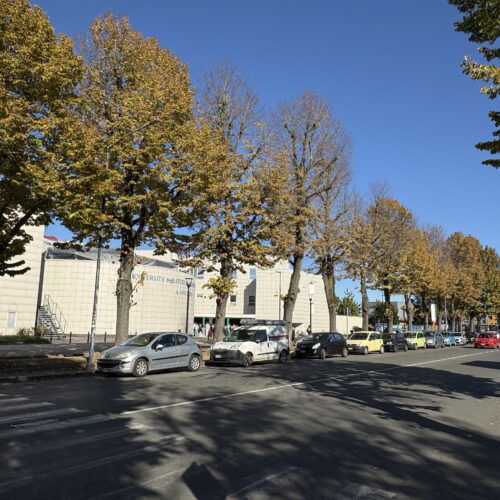 Ennesimo pedone investito in viale Michel: i timori degli studenti e l’intervento previsto per rimediare