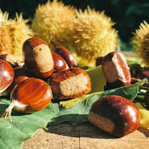 Profumo di tartufo, caldarroste e vino: le sagre del weekend in Piemonte