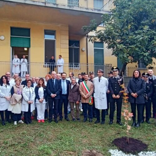 Un albero per la salute: all’Ospedale di Casale un simbolo di alleanza tra sanità e ambiente