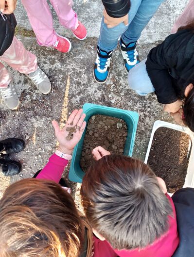 A lezione nella natura: all’orto didattico della scuola Morbelli laboratori sull’acqua per 200 bambini