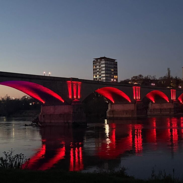 Sindaco di Pavia contro violenza sulle donne: “Ancor più impegno per cambiare le cose”