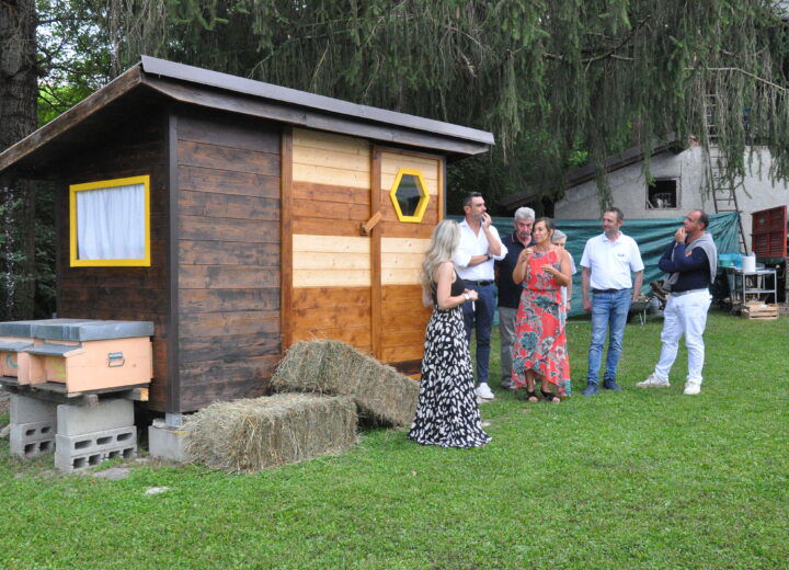 Mielerie aperte: anche in provincia di Alessandria tante adesioni