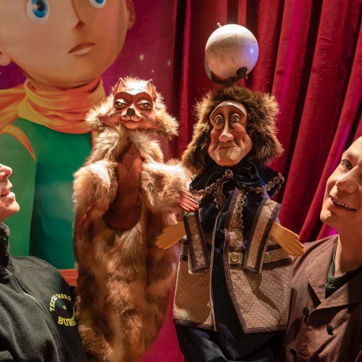 Cosa fare in provincia di Alessandria. Gli eventi di sabato 22 novembre