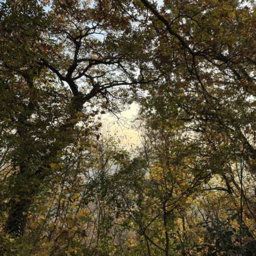 Foliage al Sacro Monte di Crea: una gita tra natura, arte e spiritualità