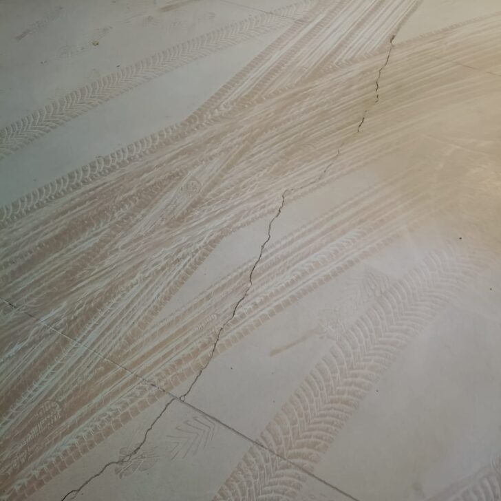 Le notizie che potreste aver perso oggi, giovedì 13 novembre