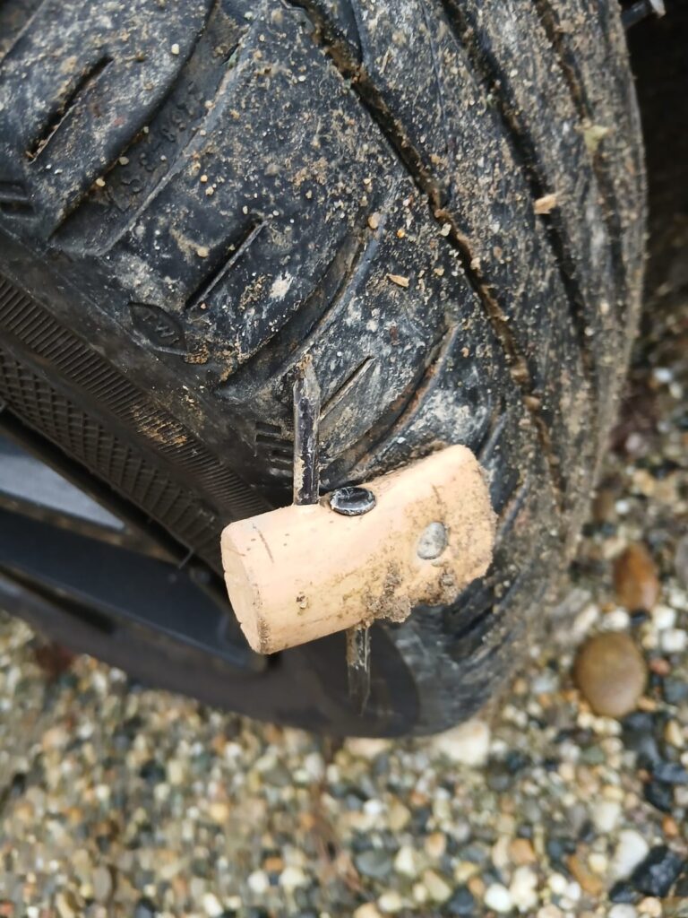 Sughero con chiodi San Salvatore