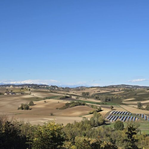 Viarigi, un comitato e un contadino contro l’impianto agrivoltaico ad Altavailla