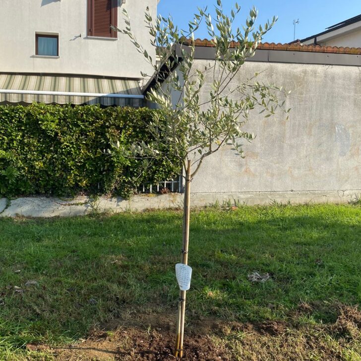 Le notizie che potreste aver perso oggi, mercoledì 12 novembre