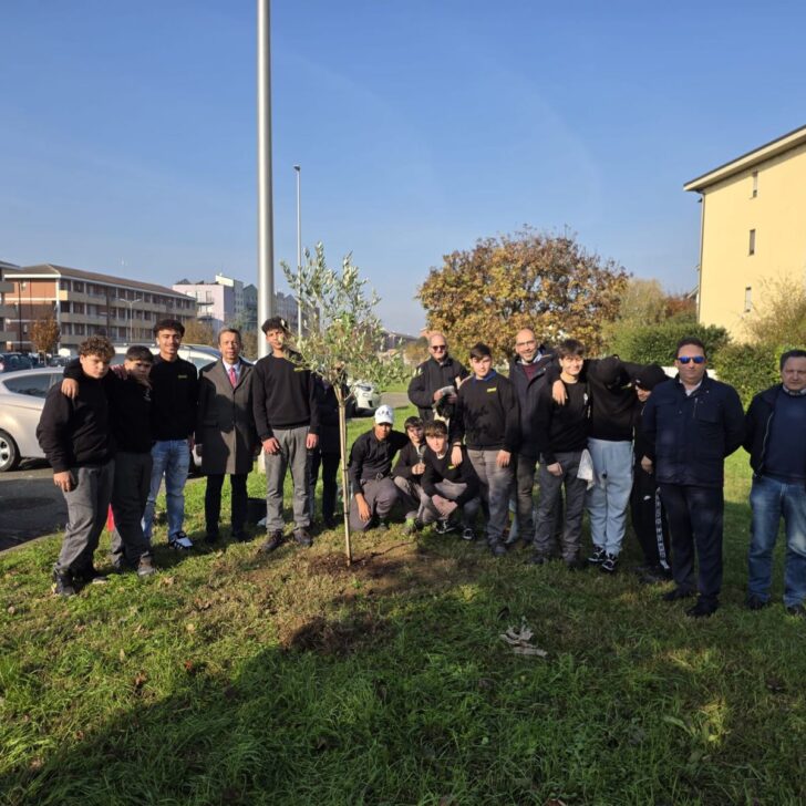 Alberiamo Alessandria: nuove piante per una città più verde e accogliente