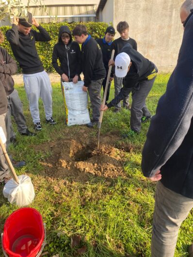 Alberiamo Alessandria: nuove piante per una città più verde e accogliente