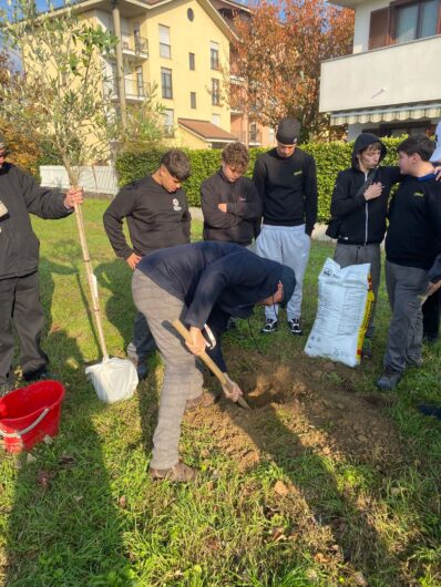 Alberiamo Alessandria: nuove piante per una città più verde e accogliente