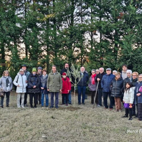 Un nuovo ulivo a Casalbagliano donato dall’amministrazione comunale di Alessandria