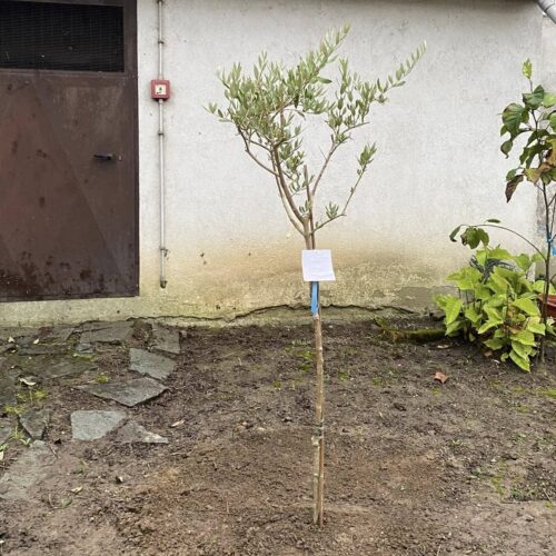 Le notizie che potreste aver perso oggi, martedì 18 novembre