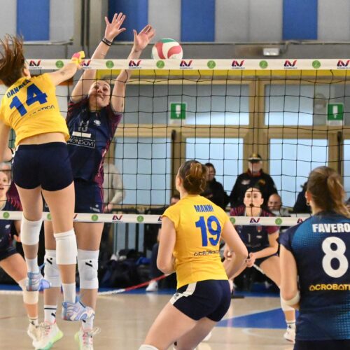 Volley: trasferta a Garlasco per l’Acrobatica Alessandria. Sabato lo scontro diretto