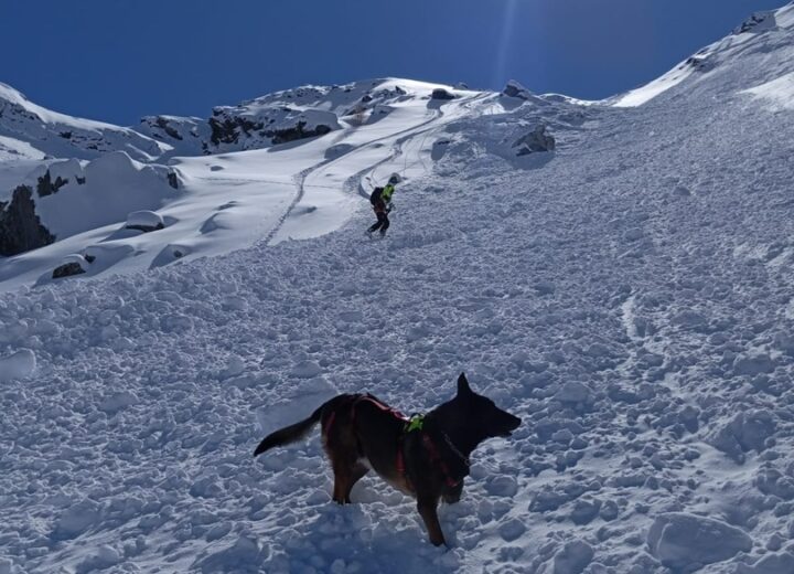 Nevicate sulle montagne piemontesi: unità cinofila da valanga attiva in anticipo a Cuneo-Levaldigi