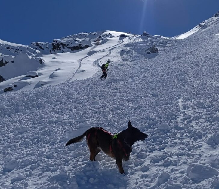 Nevicate sulle montagne piemontesi: unità cinofila da valanga attiva in anticipo a Cuneo-Levaldigi