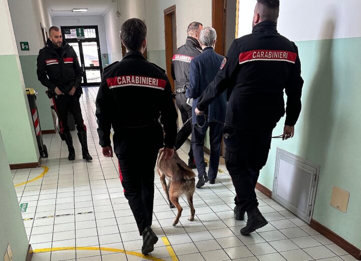 Carabinieri: controlli con i cani antidroga nelle scuole tortonesi