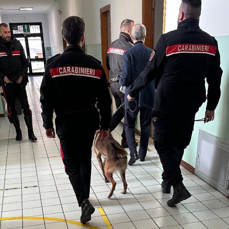 Carabinieri: controlli con i cani antidroga nelle scuole tortonesi
