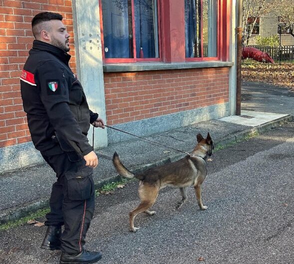Carabinieri: controlli con i cani antidroga nelle scuole tortonesi