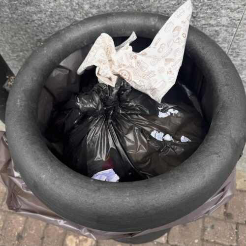 “Imparate a utilizzarmi bene”: a Casale l’assessore Fracchia racconta la “triste storia” di un cestino