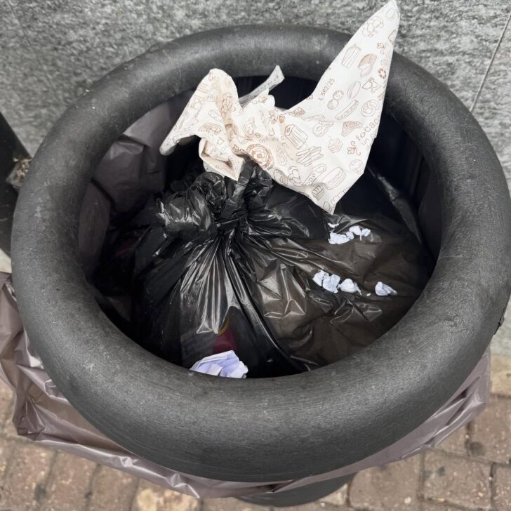 “Imparate a utilizzarmi bene”: a Casale l’assessore Fracchia racconta la “triste storia” di un cestino