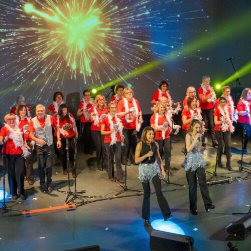 Solidarietà in musica: grazie al concerto del FuckCancer Choir due importanti donazioni a Loto e me.dea