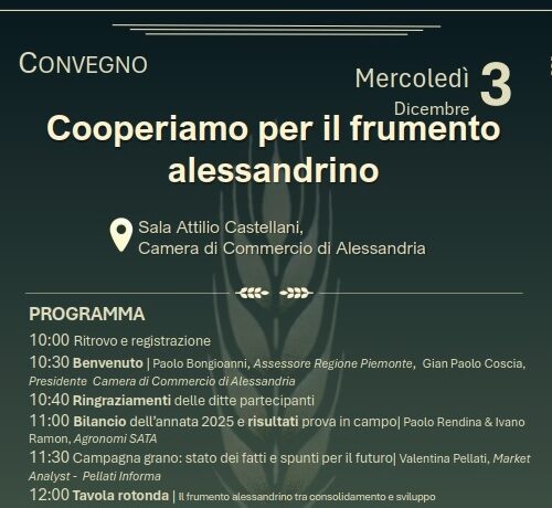 “Cooperiamo per il frumento alessandrino”: il 3 dicembre il convegno che rafforza la filiera cerealicola del territorio