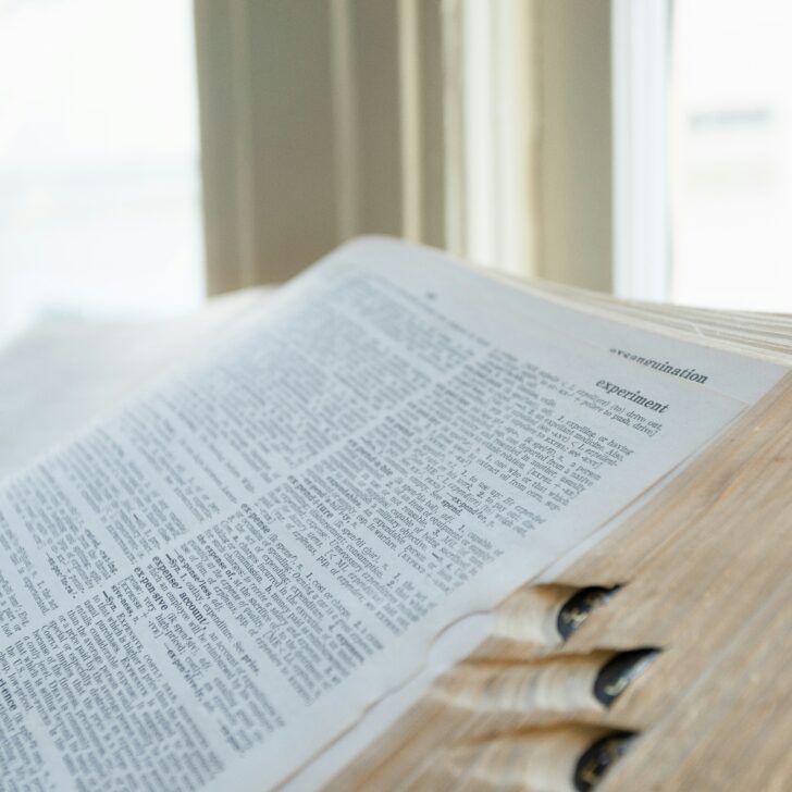 La Treccani approva il neologismo “infobulimia”: ne soffriamo quasi tutti