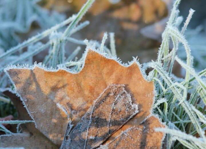 Deboli nevicate e gelate diffuse nelle prossime ore in Piemonte