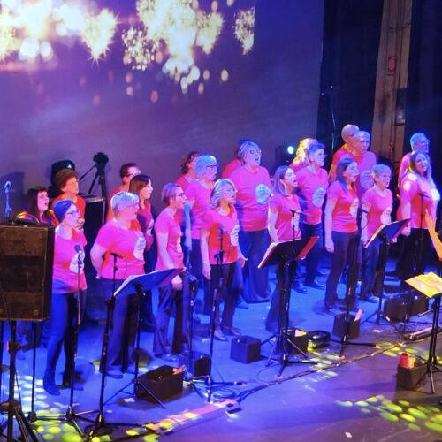 Solidarietà in musica: grazie al concerto del FuckCancer Choir due importanti donazioni a Loto e me.dea