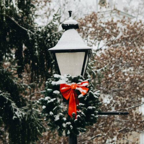 Cosa fare in provincia di Alessandria. Gli eventi di domenica 23 novembre